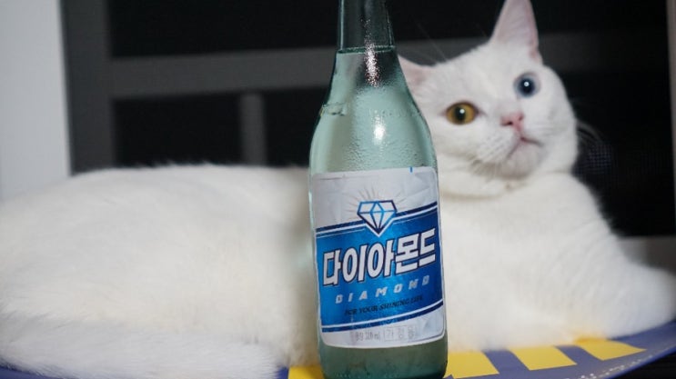  부산소주 다이아몬드소주, 한예슬 소주라는데 한번 먹어봄!