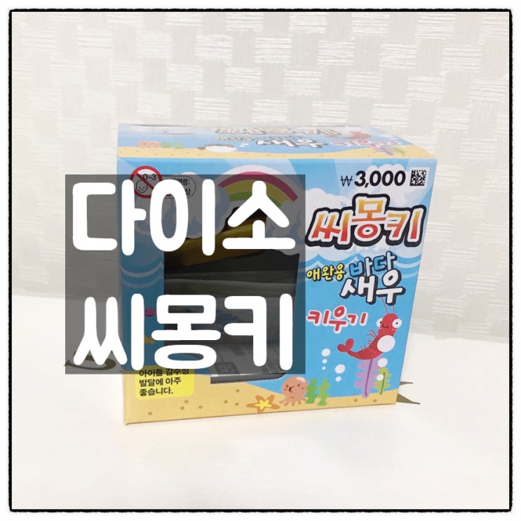  다이소 씨몽키 애완용 바다새우 키우기 키트 리뷰