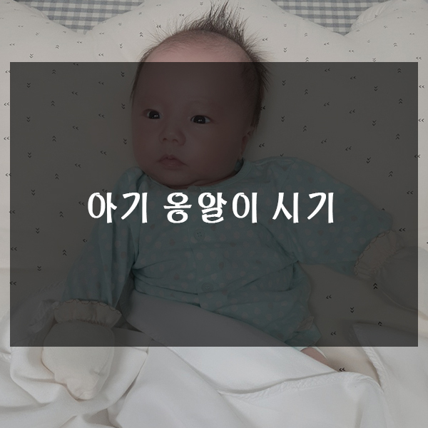  아기 옹알이 시기 언제부터 할까요?