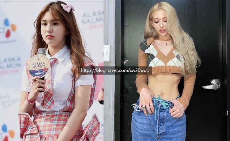 전소미 다이어트 전후, 성형, 혼혈, 프로필 전소미 다이어트 전후, 성형, 혼혈, 프로필