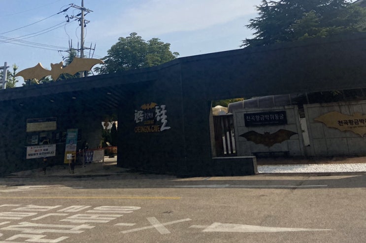  여름에 가기 좋은 시원한 천곡황금박쥐동굴 다녀왔어요