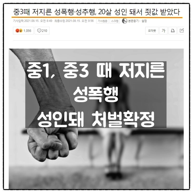 중1, 중3 때 저지른 성폭행 20살 성인 된 후 처벌 확정(국민청원글 공유) 중1, 중3 때 저지른 성폭행 20살 성인 된 후 처벌 확정(국민청원글 공유)