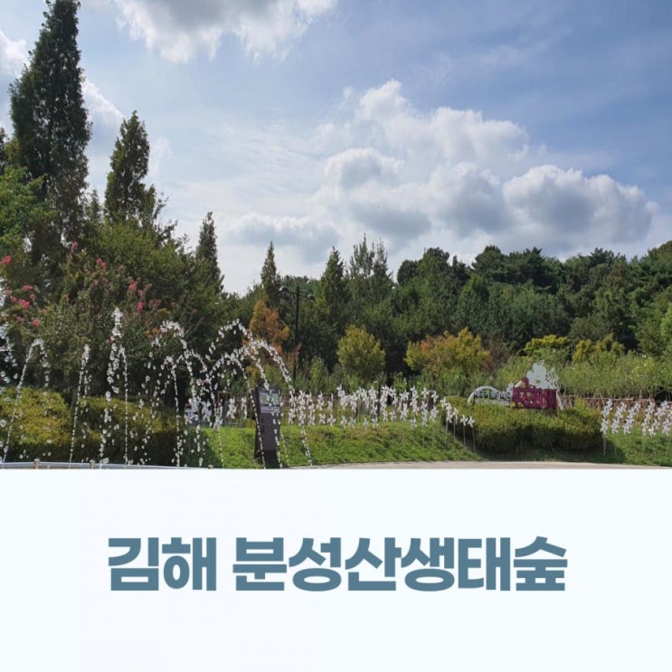  부산근교 분성산 생태숲 아이랑 함께 산책하기 좋았던 한산한 곳