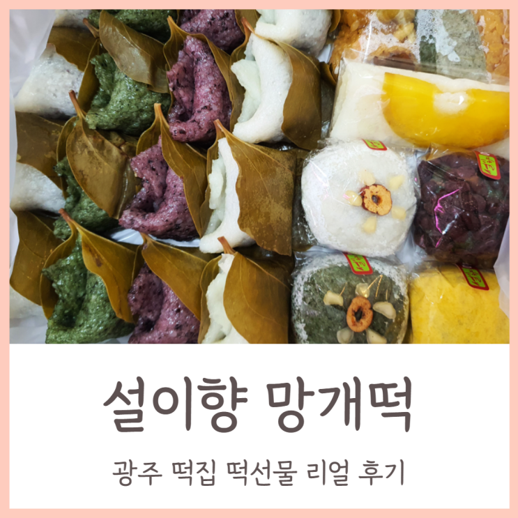 광주 떡집 설이향 망개떡 에서 떡선물 리얼 후기
