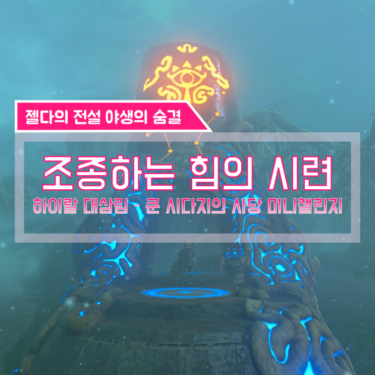  [젤다의전설 야생의숨결 공략] (113) 하이랄 대삼림 - 조종하는 힘의 시련 (쿤 시다지의 사당 챌린지)