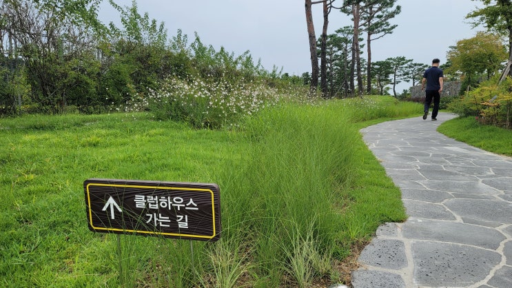  태광cc골프장 반바지 라운딩