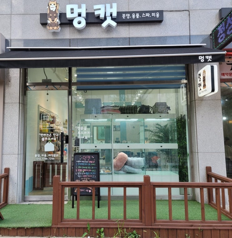  청주 애견샵 "멍캣"에서 안전하고 이쁘게 로건이 애견미용(목욕) 받았어요 :D