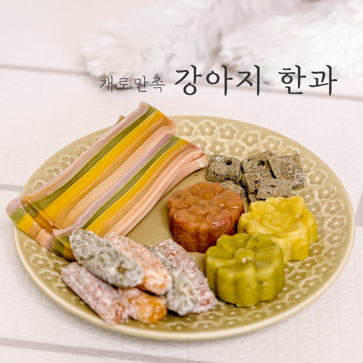  강아지 수제간식 ; 개로만족 강아지한과