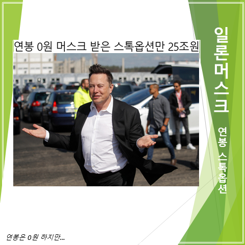  테슬라 일론머스크의 연봉과 스톡옵션과 전세계 부호순위