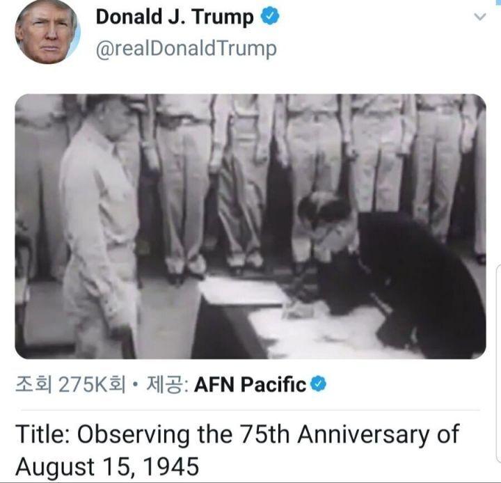  막 사는 대통령