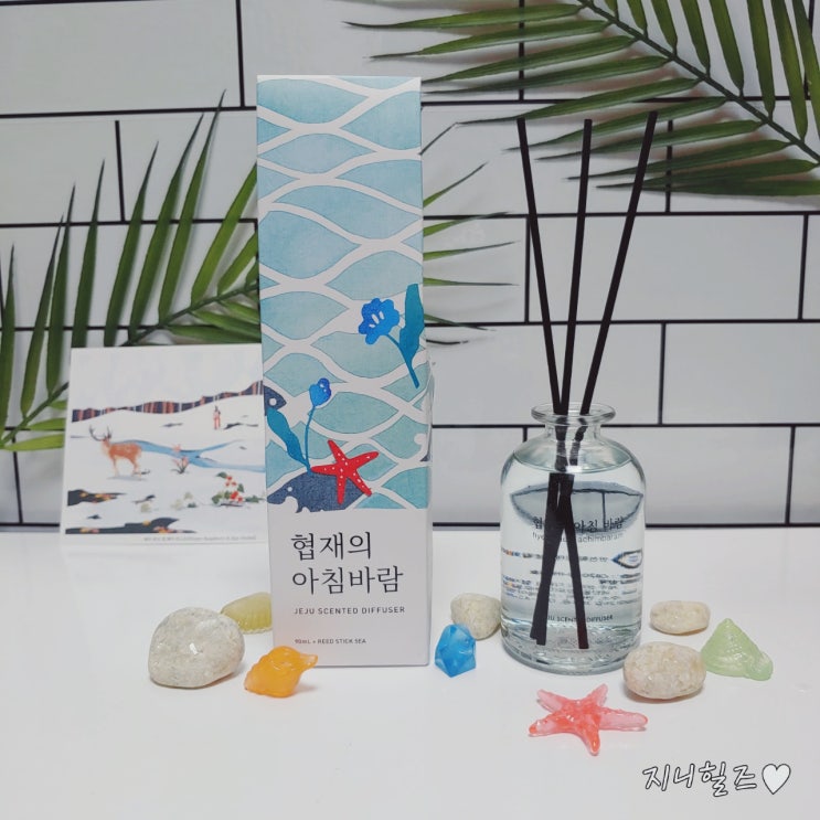  세븐틴 부승관의 1등 힐링템 디퓨져? 르플랑 "협재의아침바람" 협재바다의 파도와 바람이 느껴지는 향 : )