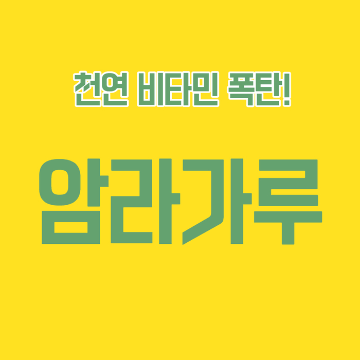  비타민C 함량이 오렌지의 20배! 암라가루 알아두세요
