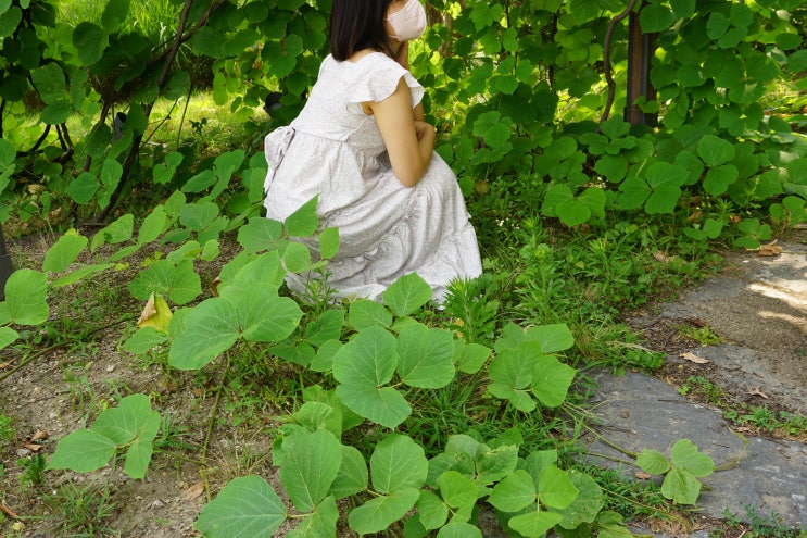  여름원피스 시원한 셔링날개로 발랄한 분위기 아델리아 플리츠원피스
