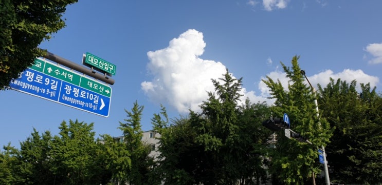 도심속힐링 강남구 대모산 숲속야생화원 산책하러 오세요~~^^ 도심속힐링 강남구 대모산 숲속야생화원 산책하러 오세요~~^^