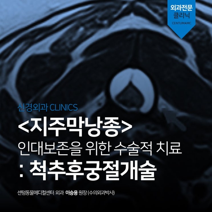  [신경외과] 6살 사지마비 강아지 <지주막낭종>, 척추후궁절개술 (부산 외과박사 수술 동물병원)