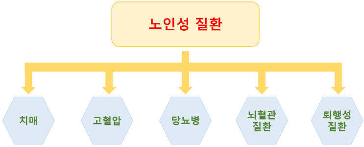  장기요양보험의 노인성질환이란??