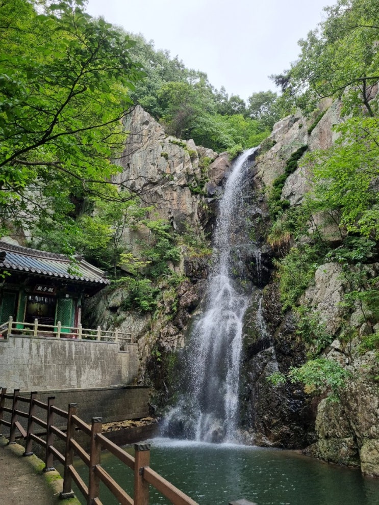  당일치기 언택트 사찰 여행( 양산 홍룡사) -9월이후 방문 추천