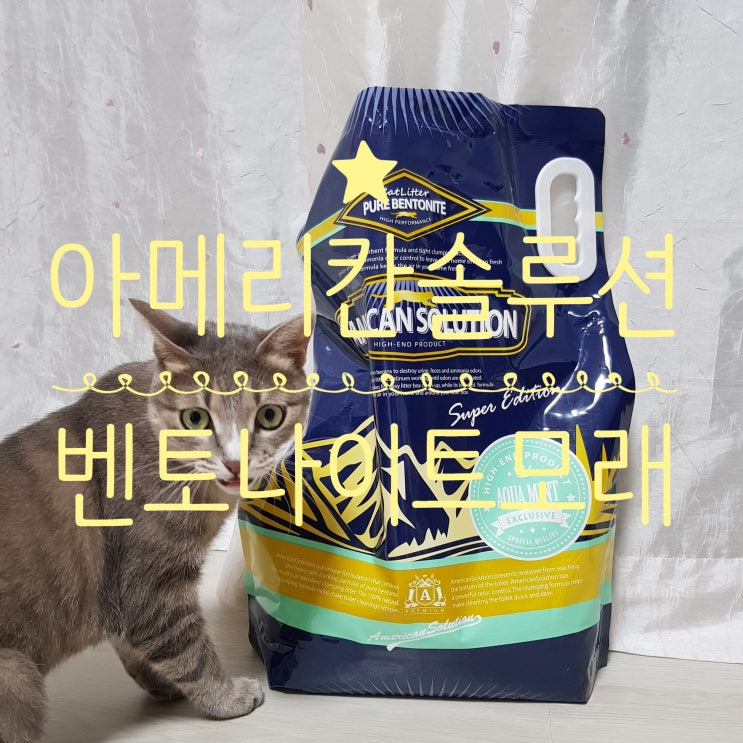  [고양이모래추천] 아메리칸솔루션 아쿠아민트 솔직후기