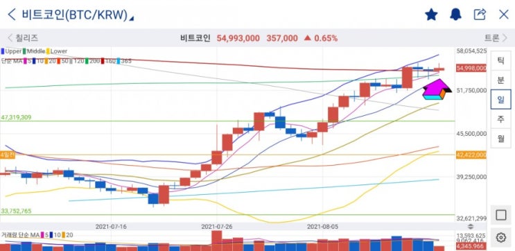  리플 8월에만 80%상승! 극단적인 공포에서 탐욕으로 공포심리지수 전환, 비트코인 차트 분석