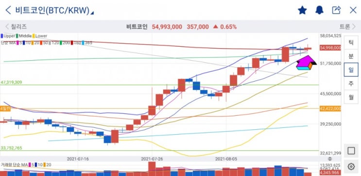 리플 8월에만 80%상승! 극단적인 공포에서 탐욕으로 공포심리지수 전환, 비트코인 차트 분석