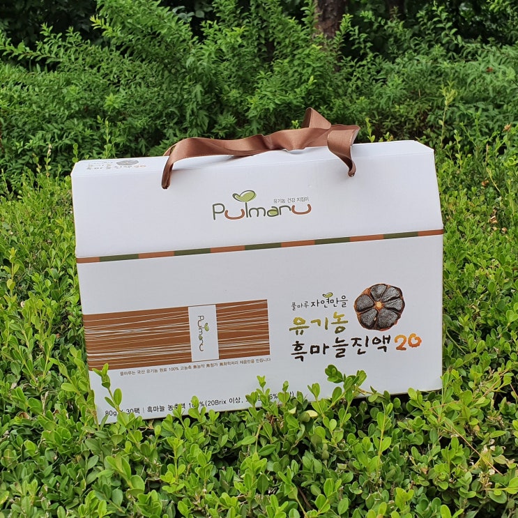  명절선물 부모님 건강식품 풀마루 흑마늘진액