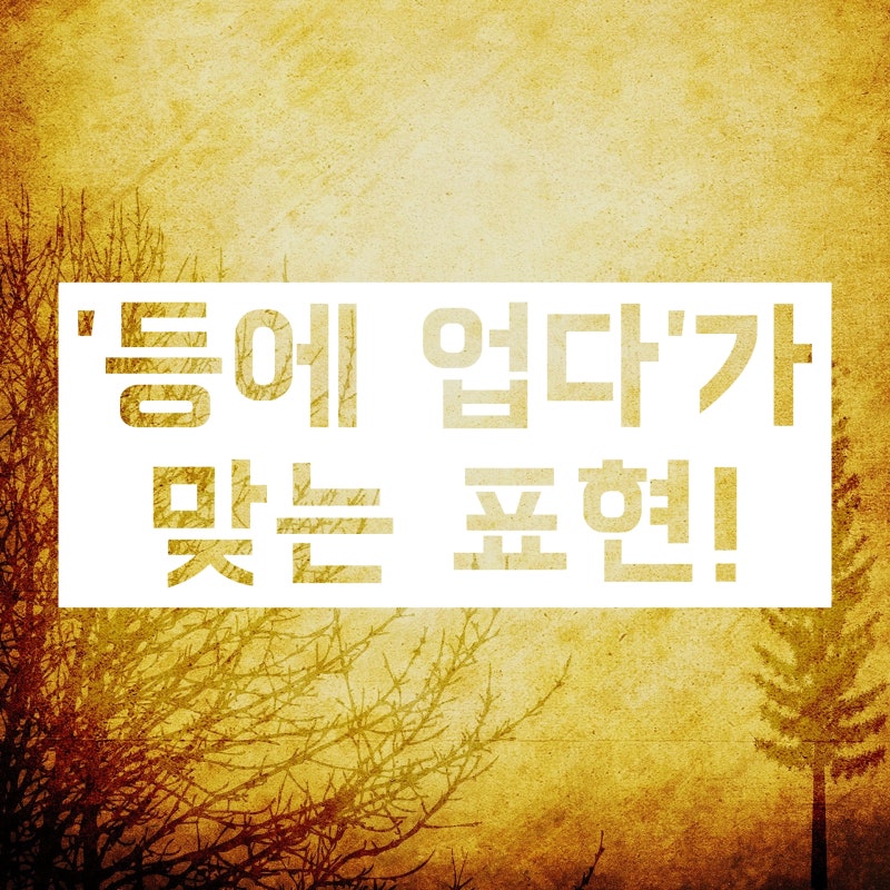 등에 업다 vs 등에 엎다 :: 뭐가 맞는 맞춤법이지? : 네이버 블로그