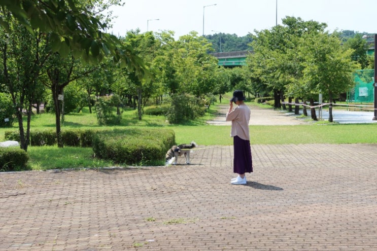  나의 일상 친정엄마가 오면 가족이 바빠요