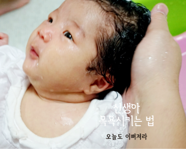  신생아 목욕 시키는 법/ 실제 목욕 영상 으로 공부해요.