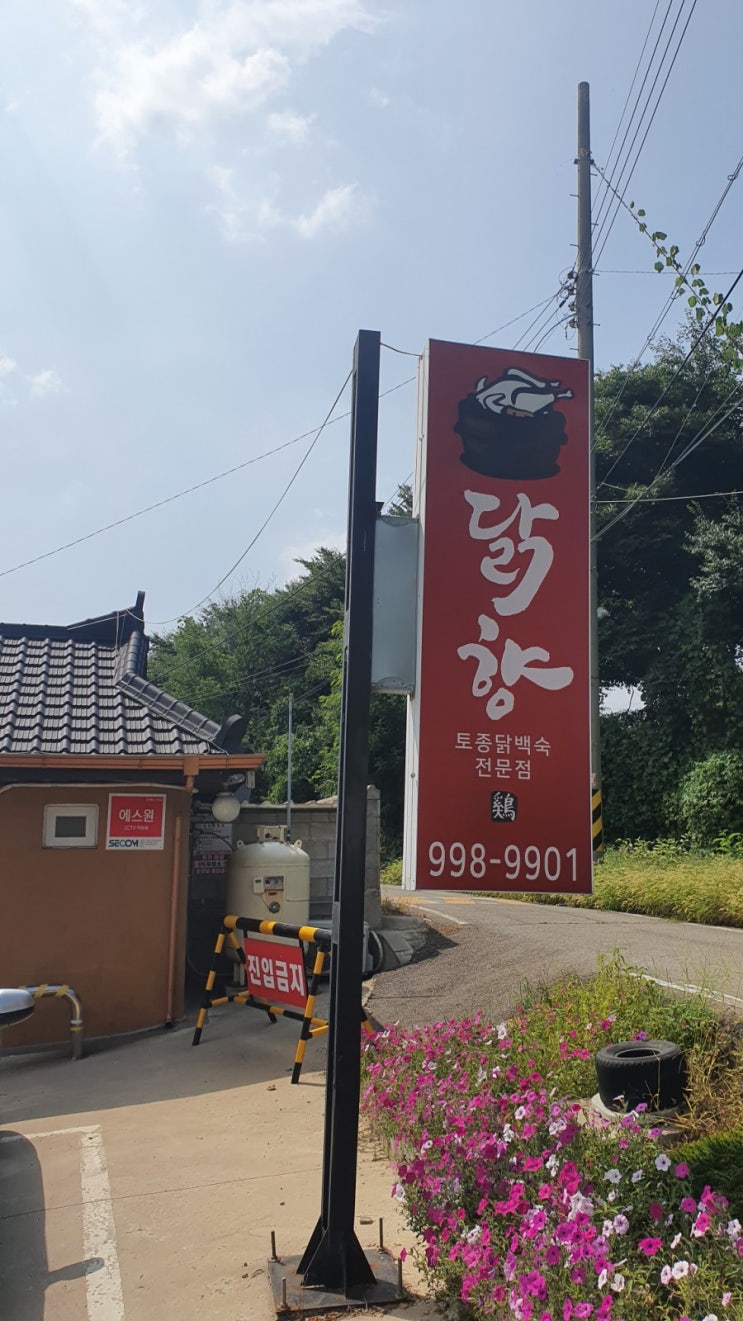  애견 동반 식당 닭 향어 하얀 이도 다녀왔어요!