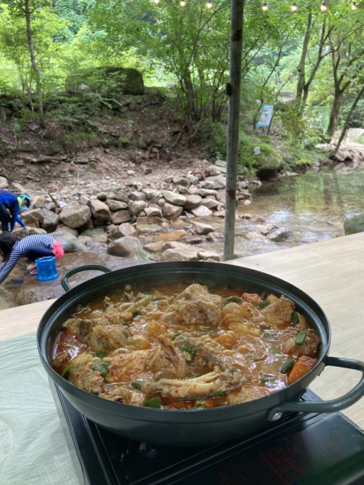  [서울시민의 맛집] 충주 수안보 계곡 닭도리탕, 일조가든