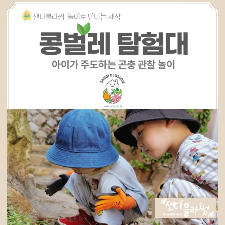  콩벌레 탐험대의 곤충관찰 놀이 그리고 아이주도놀이 이야기