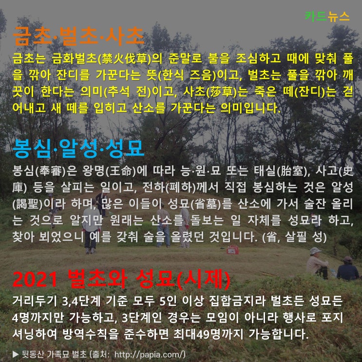  2021 벌초와 성묘 & 금초·벌초·사초 등의 차이