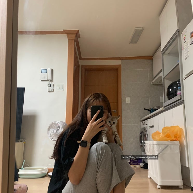  8월 일상(2)