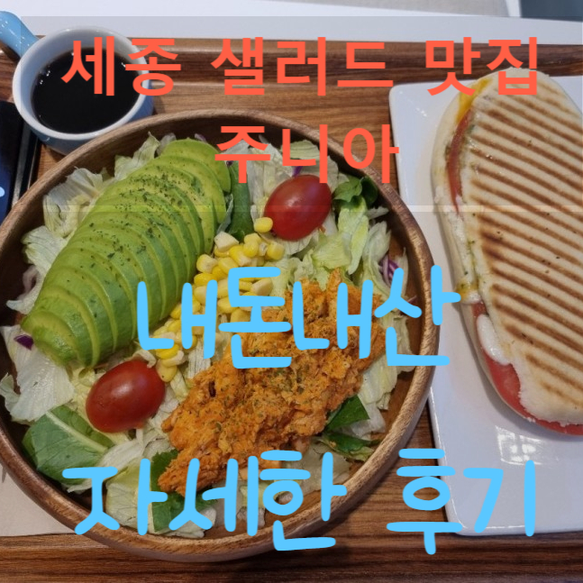  세종 나성동 다이어트  샐러드 맛집 메뉴 추천 주니아