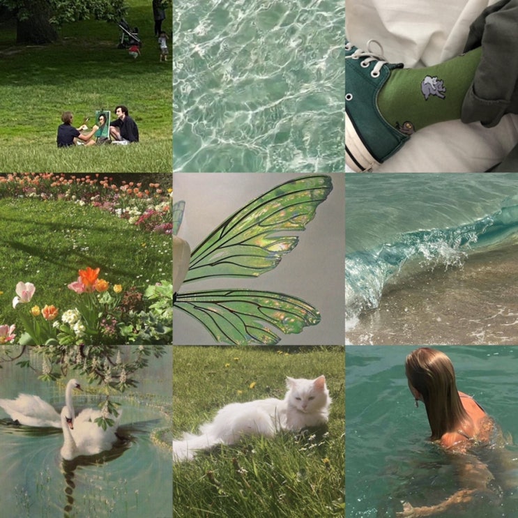  인스타 텀블러 감성이미지 아이폰 배경화면 : 초록 green