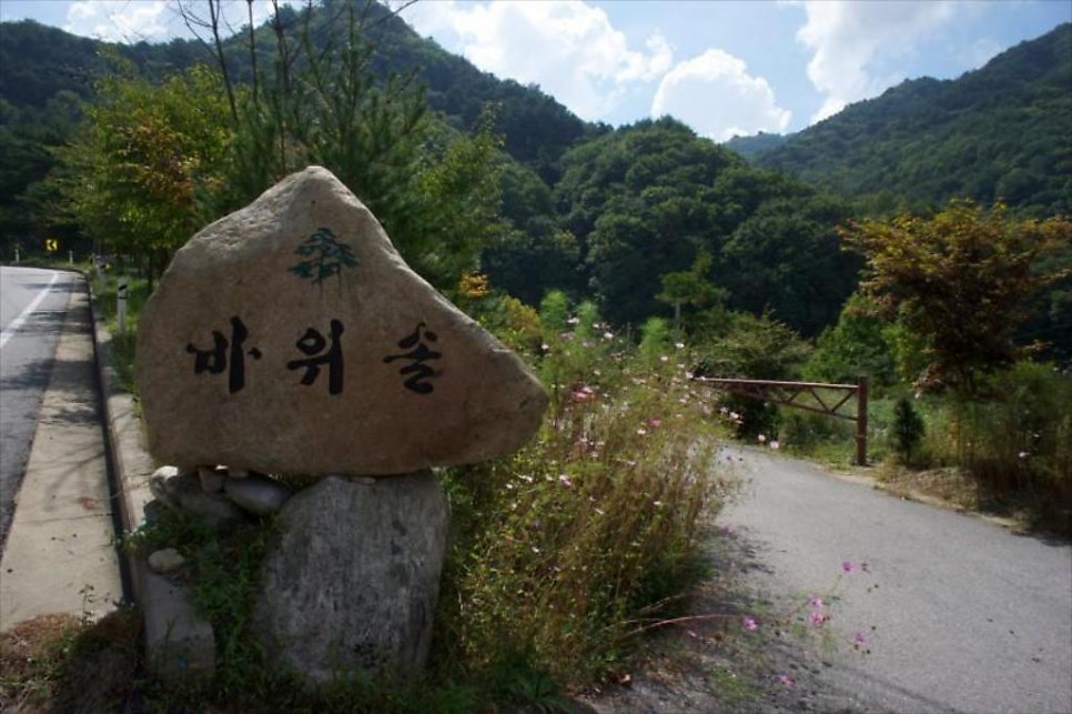 바위솔펜션 사진 3