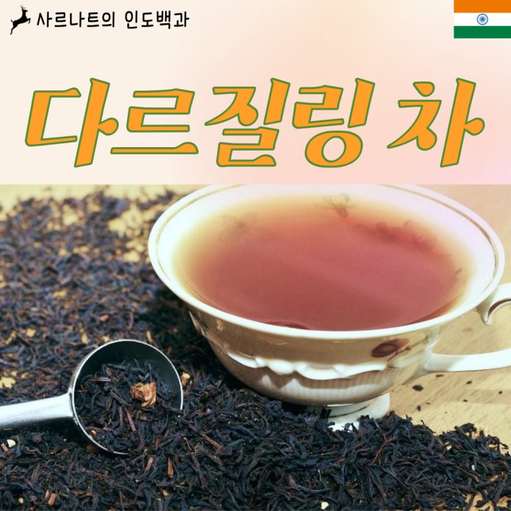  다르질링 차 - 세계 3대 차, 인도의 대표적인 홍차