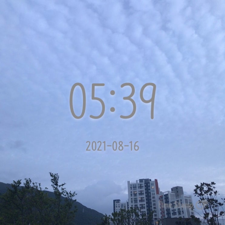  다시, 알찬하루 만들기 ~  (85일차)