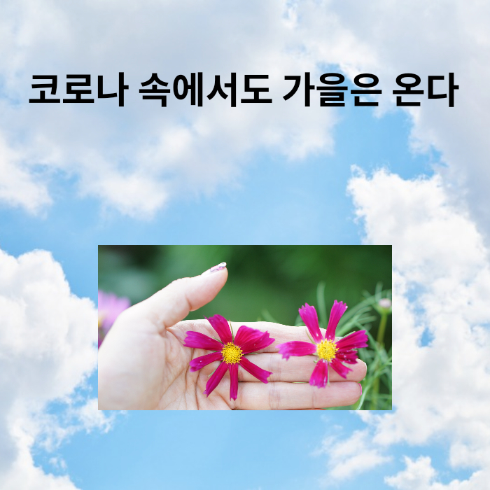  친정 집  가을 손님