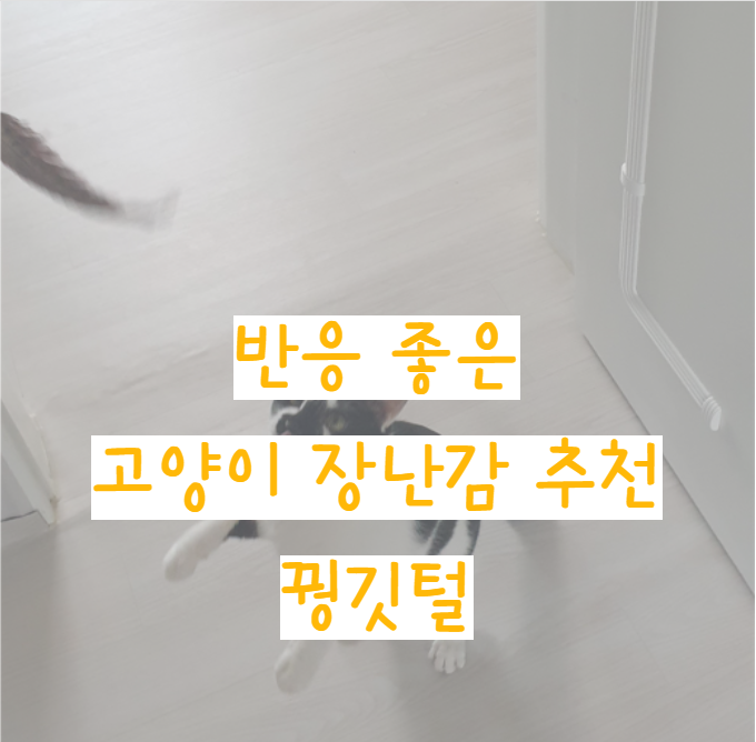  반응 좋은 고양이장남감 추천 - 펫모닝스윙캣 꿩깃털