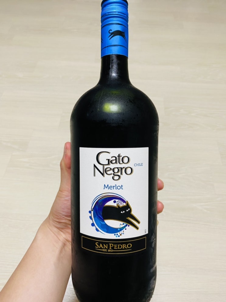 [술]가또 네그로 멜롯 : 이마트 트레이더스 가성비 와인