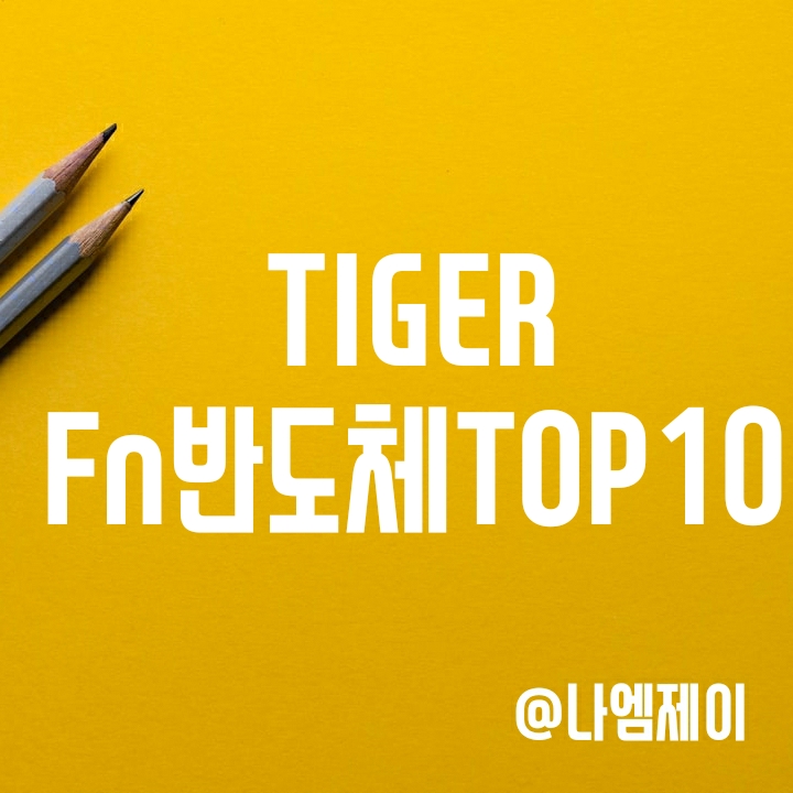 반도체 대장주들에 투자하는 TIGER Fn반도체TOP10 (타이거ETF) 반도체 대장주들에 투자하는 TIGER Fn반도체TOP10 (타이거ETF)