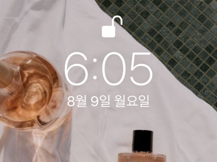  [습관만들기] 미라클 모닝 WEEK 11
