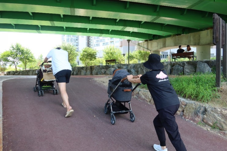  친정엄마와 강아지 산책하기 두번째