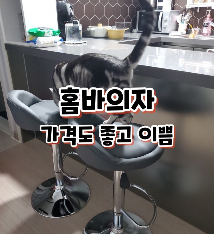 홈바의자 내돈내산 가성비 최고로 마음에 들어요 홈바의자 내돈내산 가성비 최고로 마음에 들어요