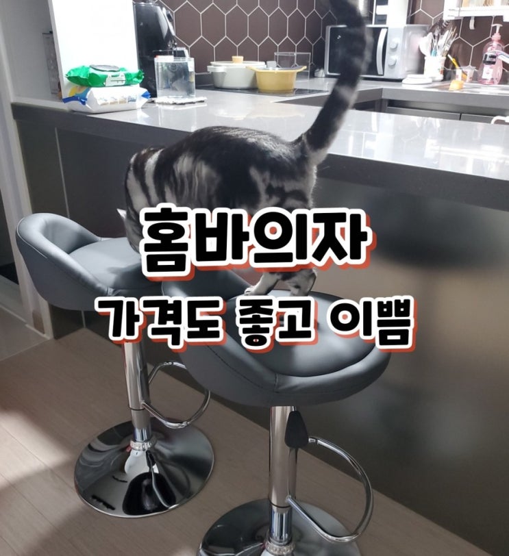 홈바의자 내돈내산 가성비 최고로 마음에 들어요