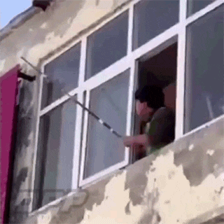  벌집 파괴 최후..