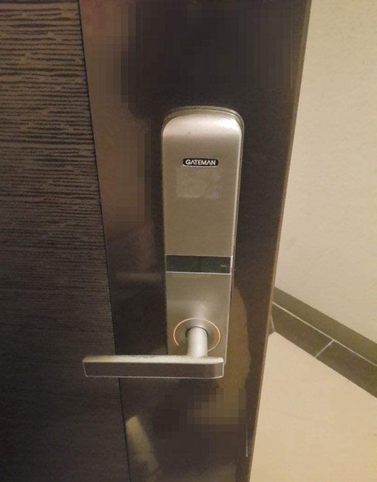  고양 일산 덕이동 신동아하이파크3단지 현관문 디지털 게이트맨 도어락 S110-F 이중잠금으로 도어락 잠겻을때 안열릴때 열리지않을때 부시지않고 열기 여는법 열쇠집