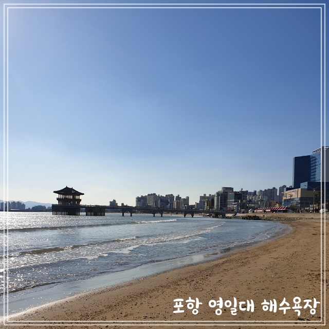  좋아하는 겨울바다 포항 영일대 해수욕장 환여횟집 물회 맛집