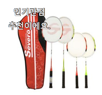  선물같은 어린이베드민턴셋트 모두의 상품 추천 추천입니다